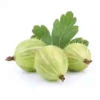 аґрус01