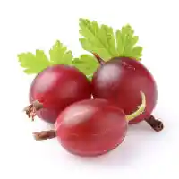 аґрус4