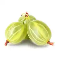 аґрус3