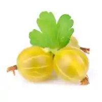 аґрус2