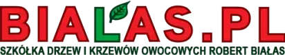 логотип_бялас