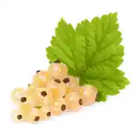 порічка1