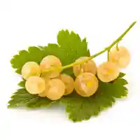 порічка1