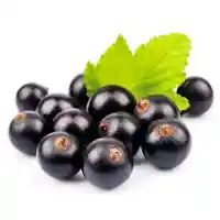 порічка5