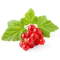 порічка3